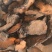 {肉苁蓉}肉苁蓉片大芸片新疆沙漠肉苁蓉片聚源药业