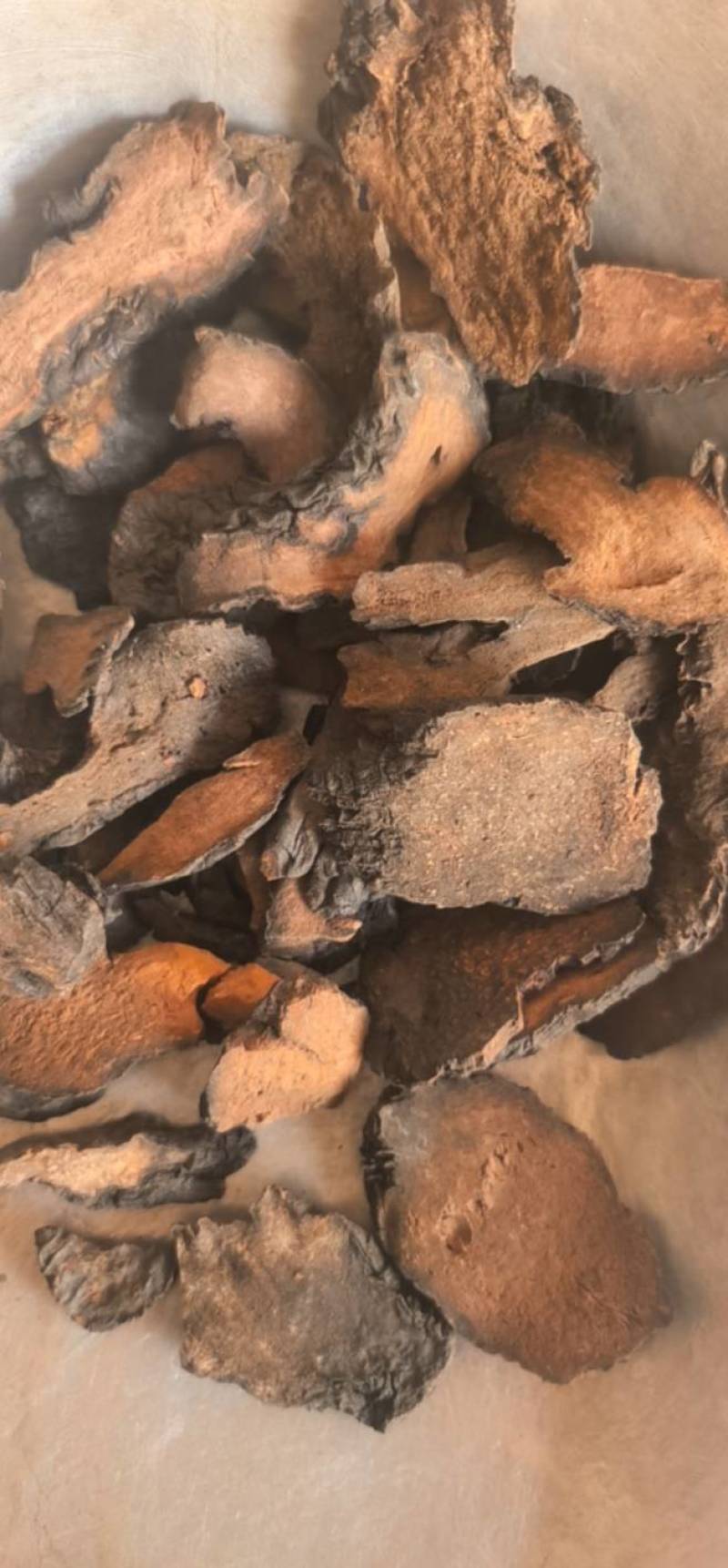 {肉苁蓉}肉苁蓉片大芸片新疆沙漠肉苁蓉片聚源药业