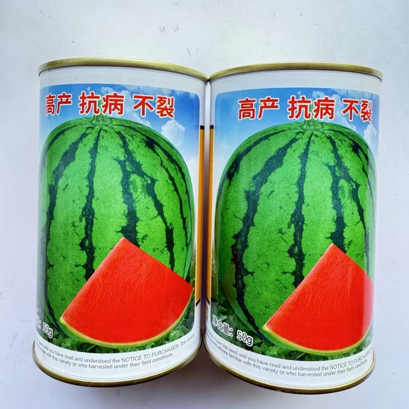 果丰翠宝二号中晚熟西瓜品种高产抗病耐裂耐重茬糖度高耐贮运