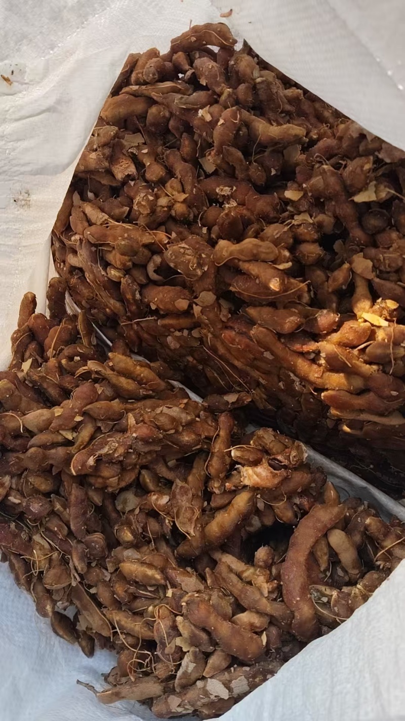 酸角果肉