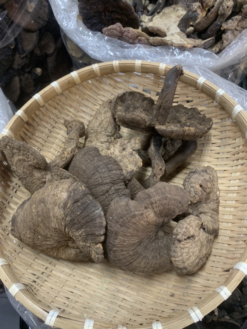 野生新货血灵芝香血灵芝黑肉灵芝质量保证一手货源