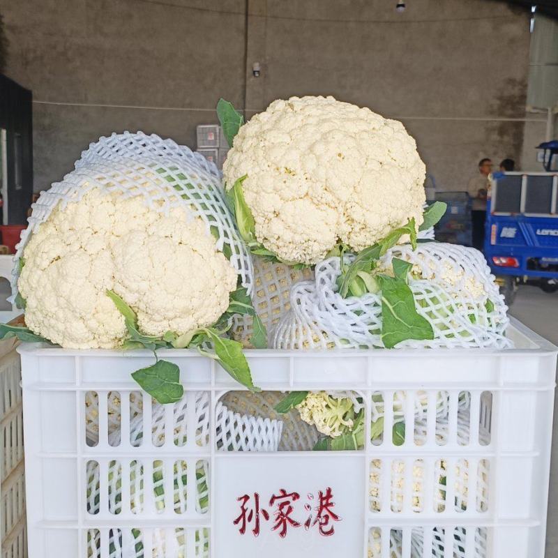 600多亩蔬菜基地，产地直销