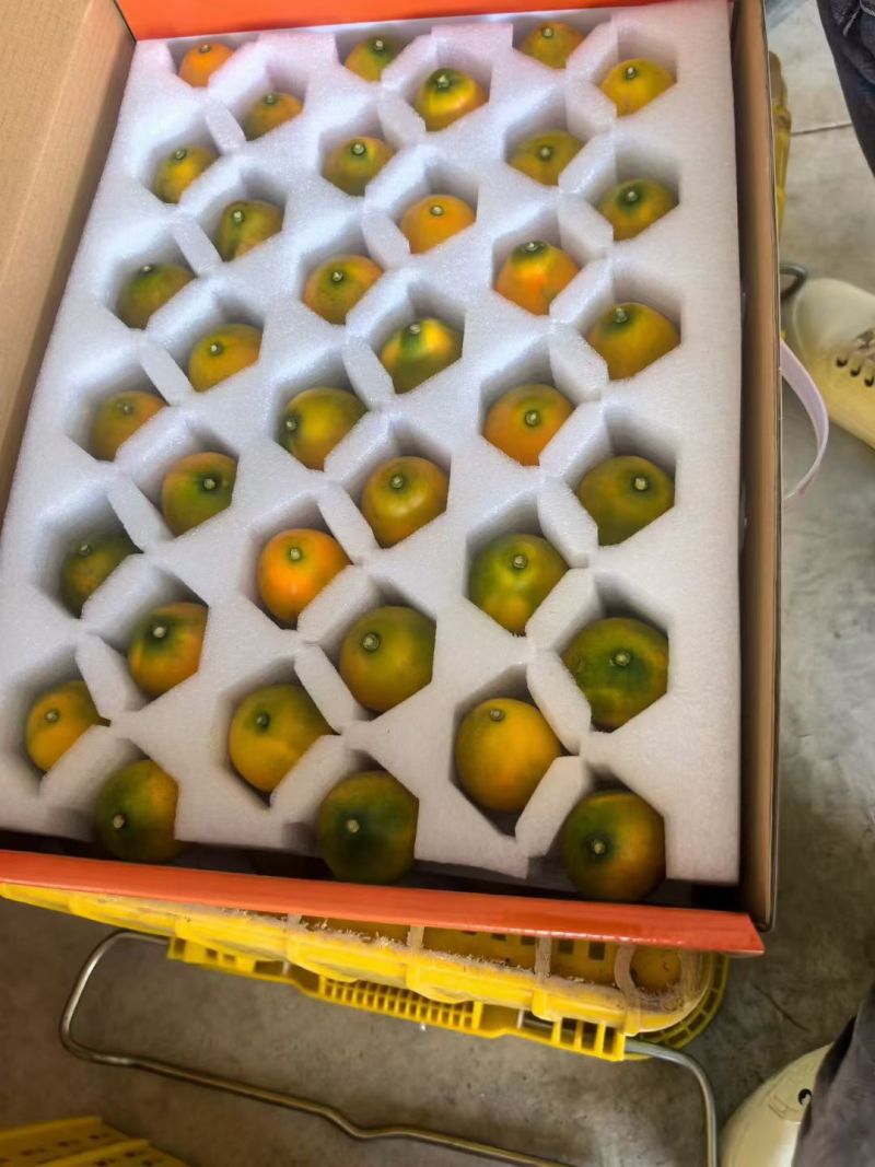 暂时不接大单，小单发货