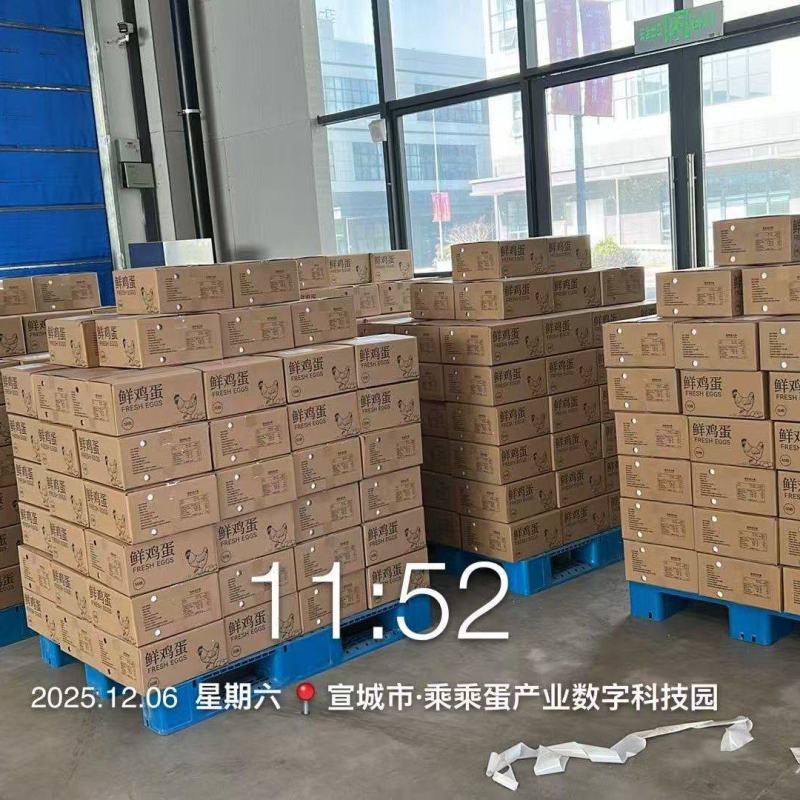 电商一件代发，各种规格，各种包材！