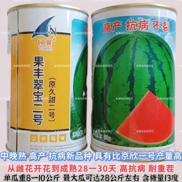 果丰翠宝二号西瓜品种子高产抗病耐裂耐重茬糖度高耐贮运西瓜