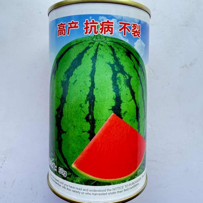 果丰翠宝二号西瓜品种子高产抗病耐裂耐重茬糖度高耐贮运西瓜