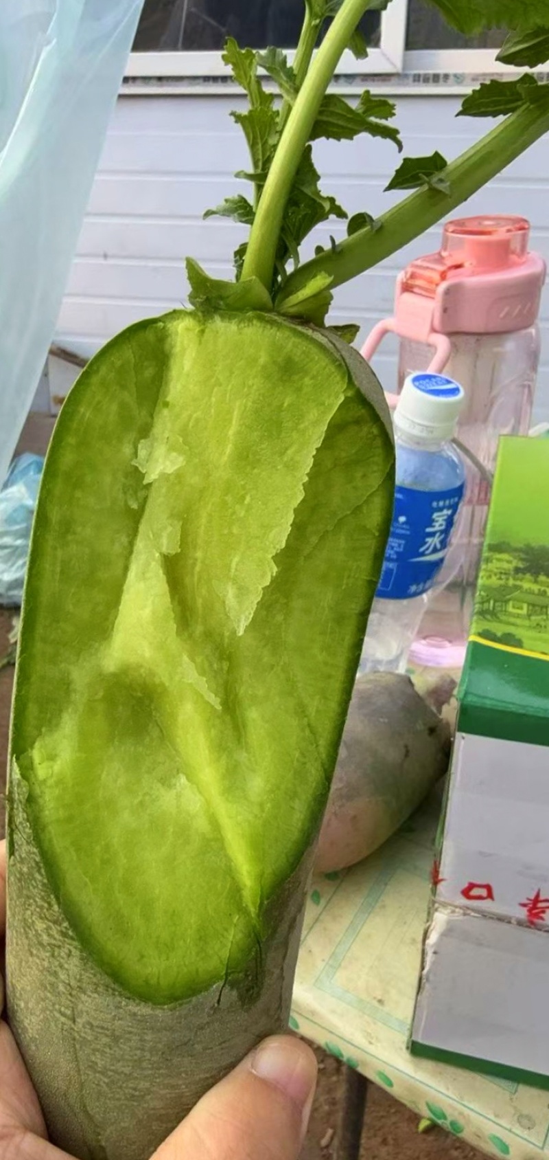 天津西青小沙窝正宗沙窝萝卜，假一赔万，支持批发，团购，电