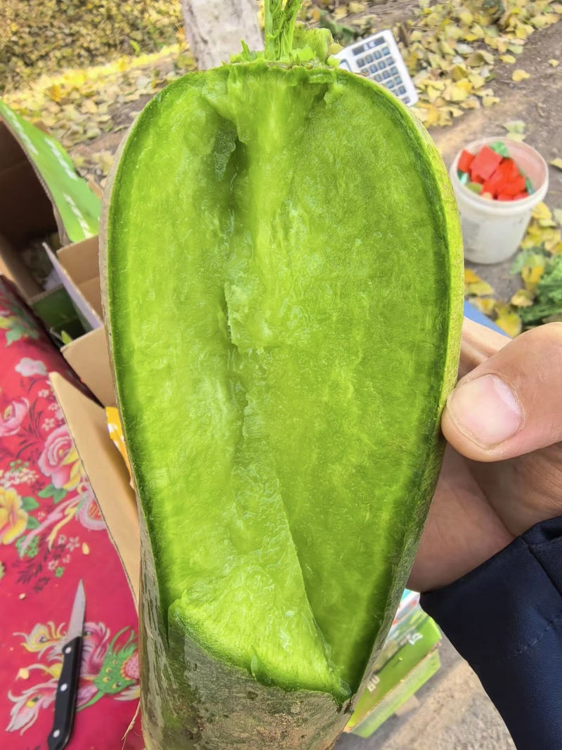 天津西青小沙窝正宗沙窝萝卜，假一赔万，支持批发，团购，电