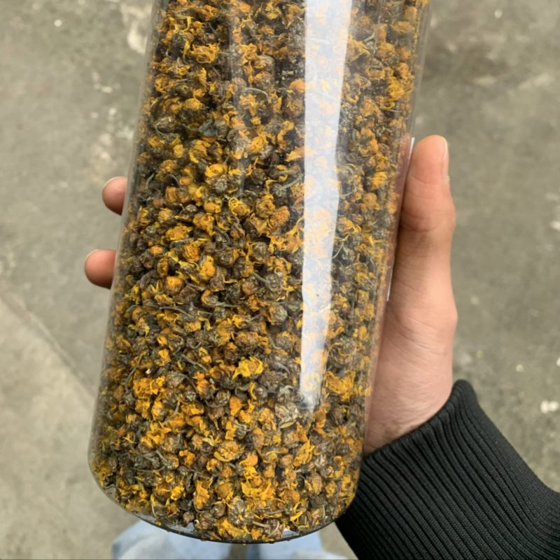 贵州野菊花35一罐