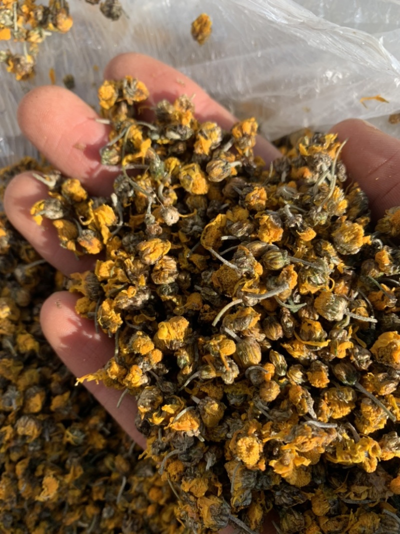 贵州野菊花35一罐