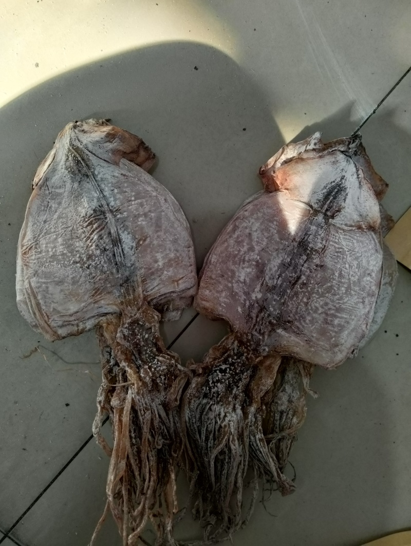 鱿鱼干水发鱿鱼干水发纯淡干无盐延边鱿鱼干淡干鱿鱼干批发