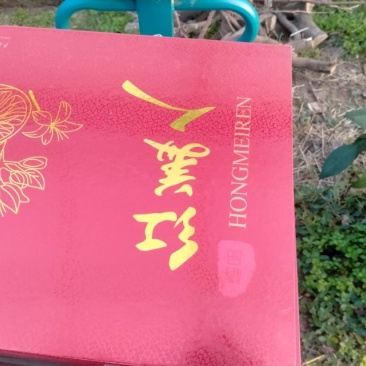 红美人
