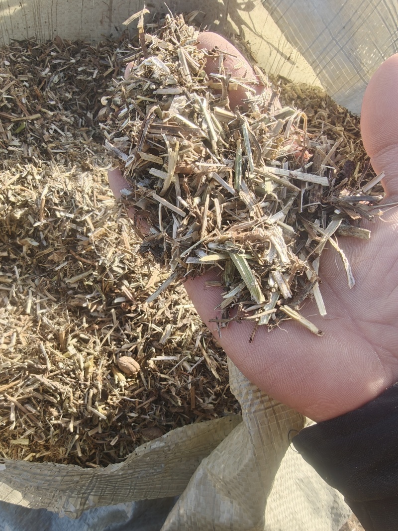 花生秧草段大量供应牛羊草料一手货源质量保证