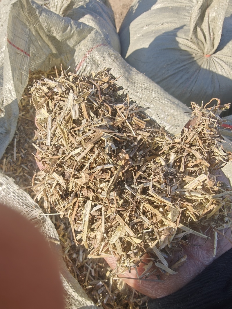 花生秧草段大量供应牛羊草料一手货源质量保证