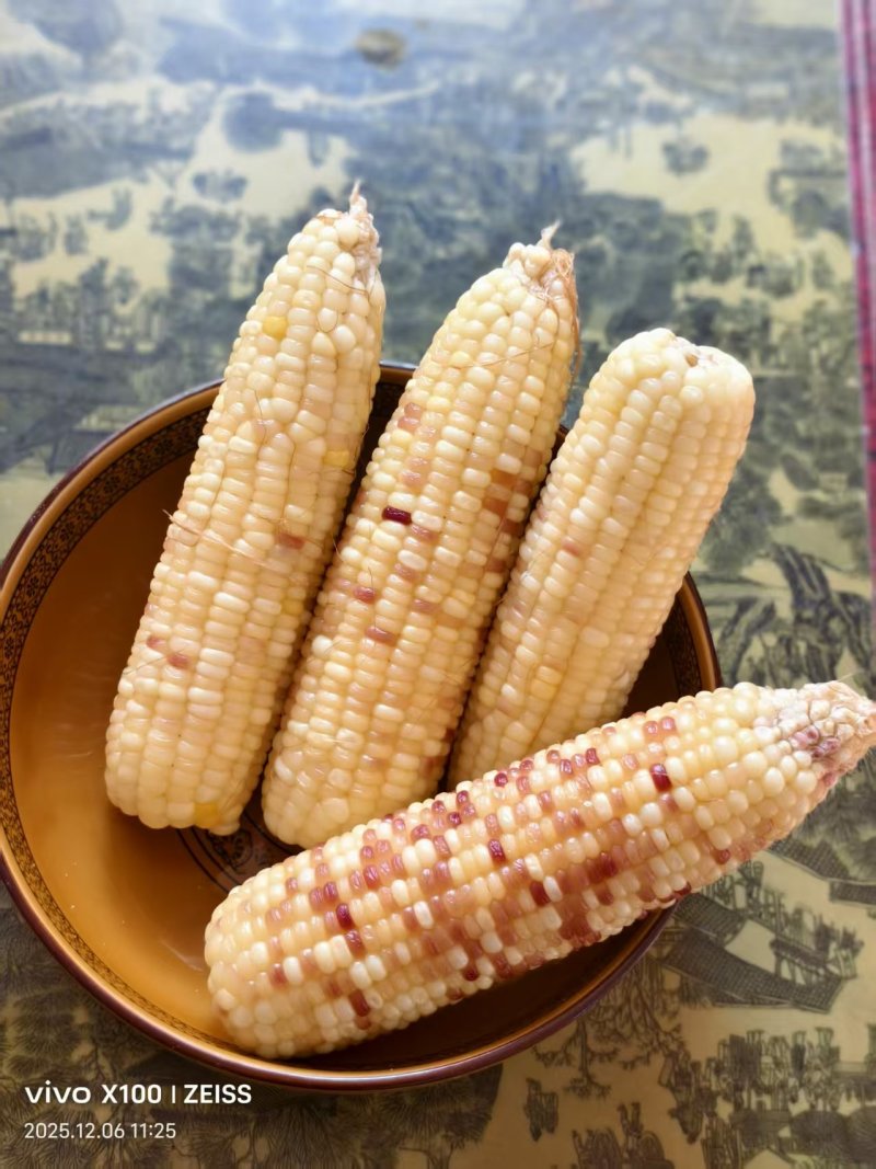 甜糯玉米