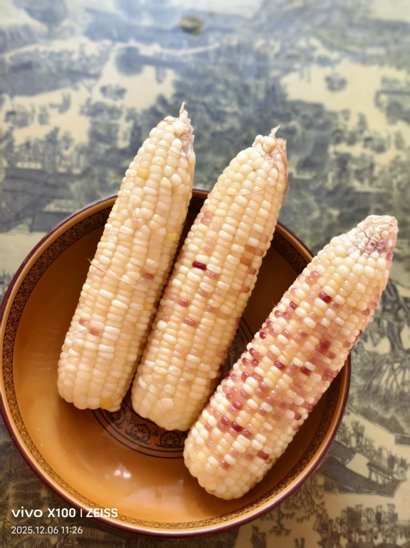 甜糯玉米