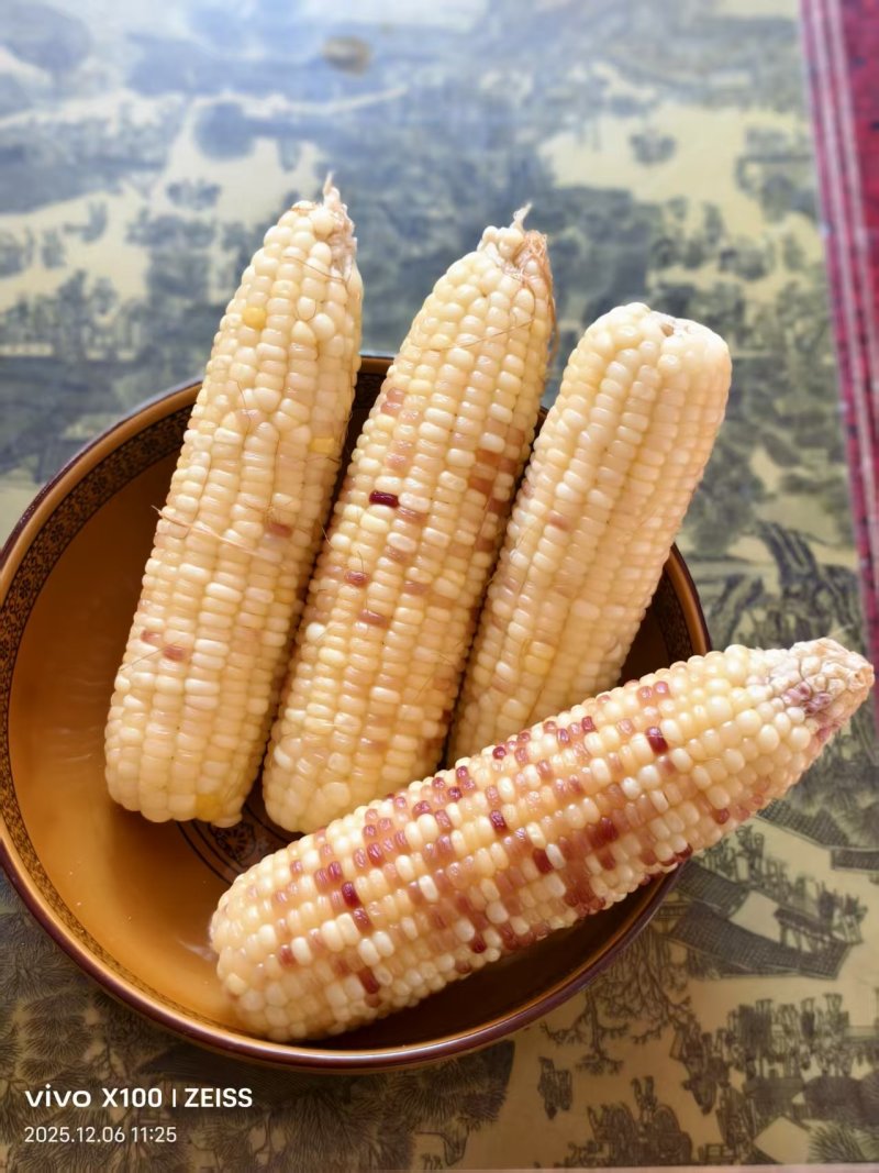 甜糯玉米