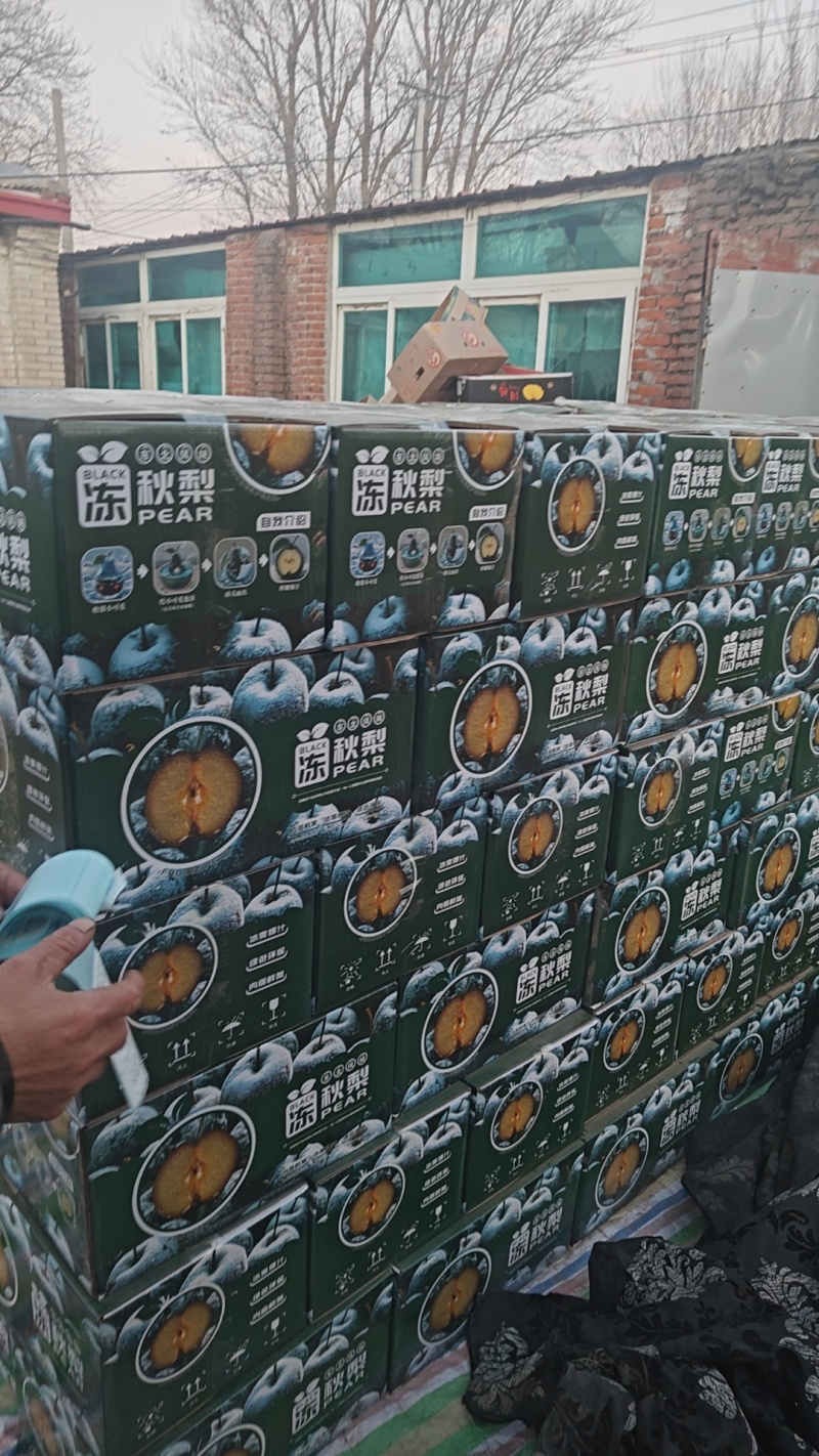 精品冻梨