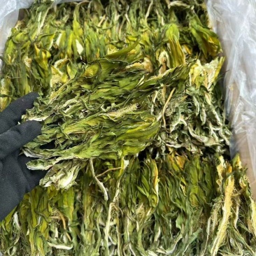 中药材干品霸王花剑花龙骨花