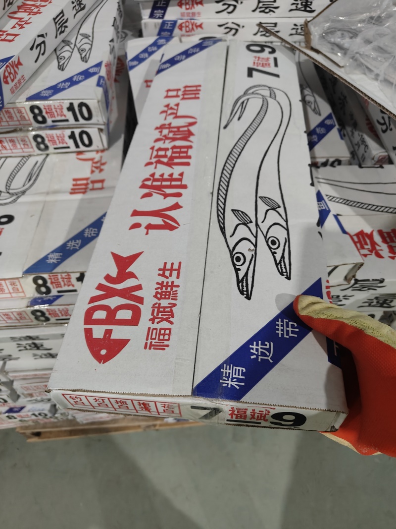 带鱼舟山带鱼礼盒装7斤左右