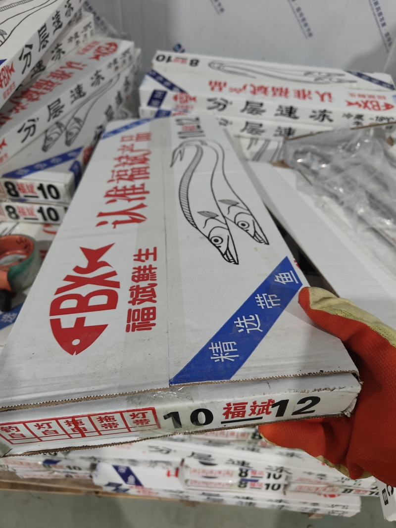 带鱼舟山带鱼礼盒装7斤左右