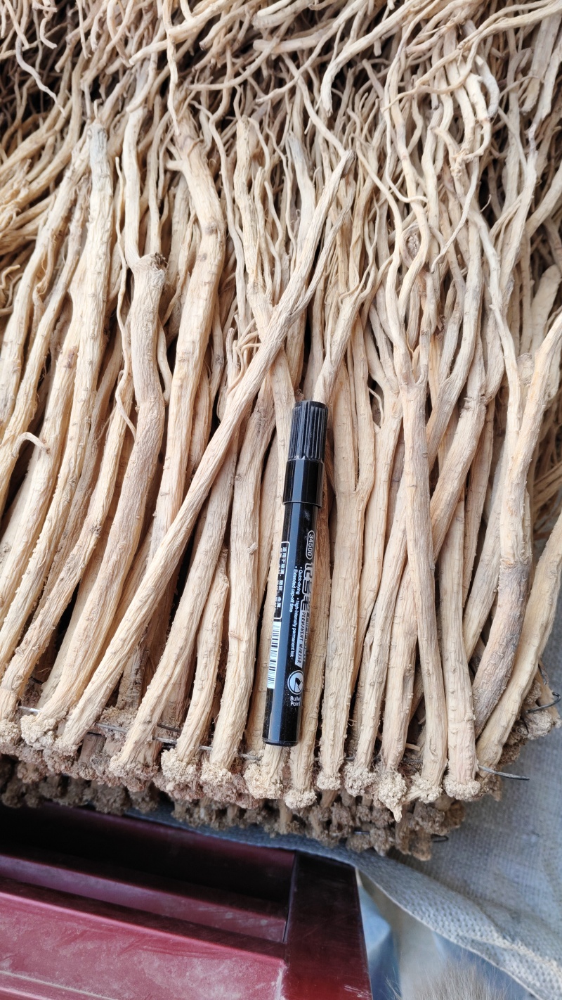 甘肃特产白条党参装箱精选条