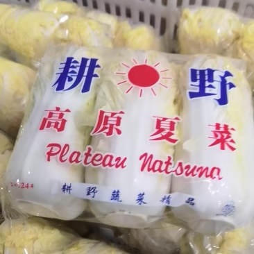 娃娃菜清甜脆嫩湖北基地直供
