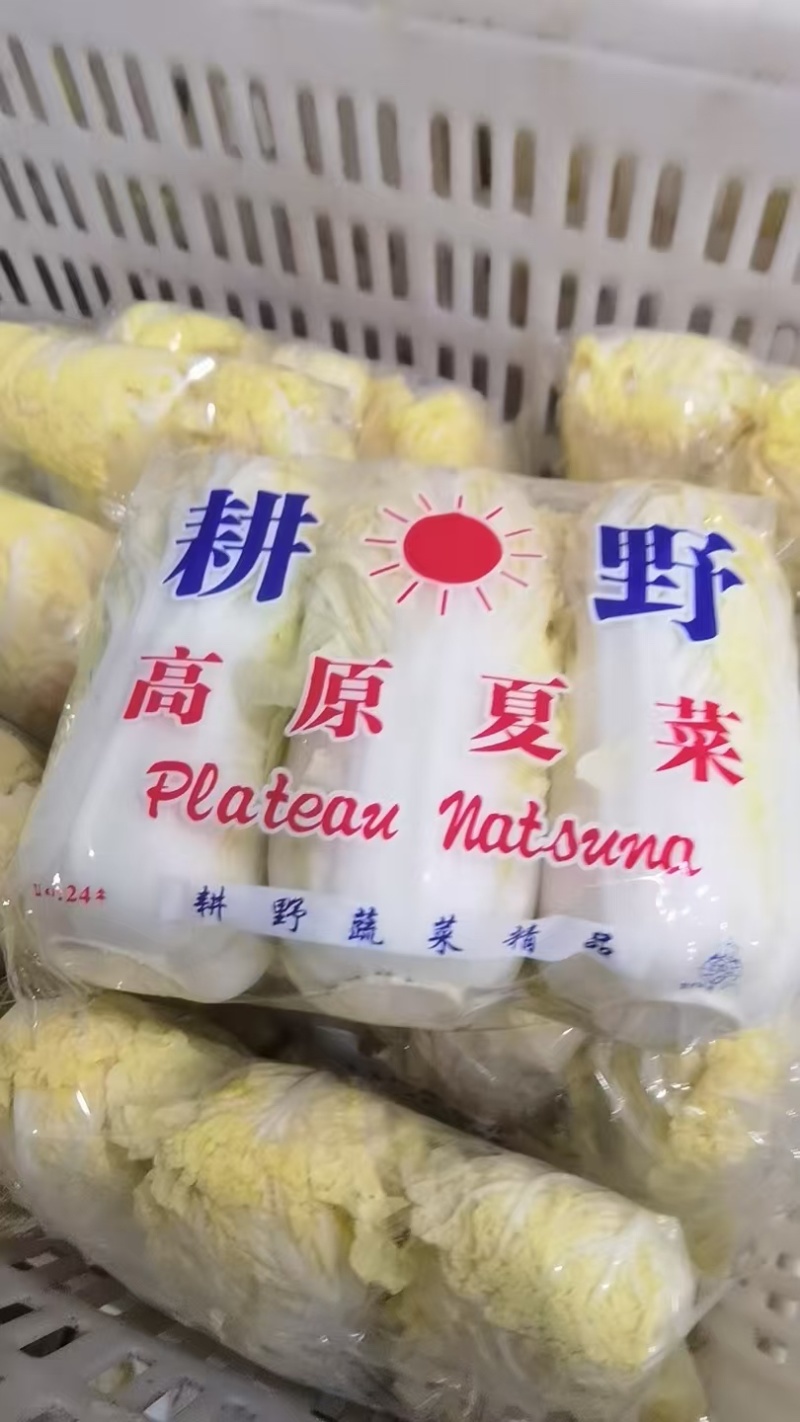 娃娃菜清甜脆嫩湖北基地直供
