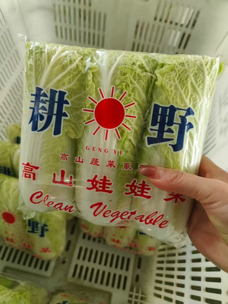 娃娃菜清甜脆嫩湖北基地直供