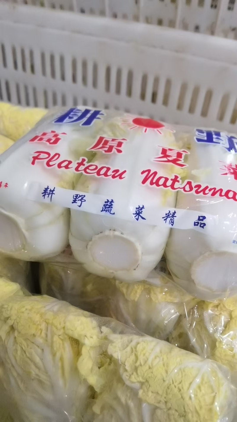 娃娃菜清甜脆嫩湖北基地直供