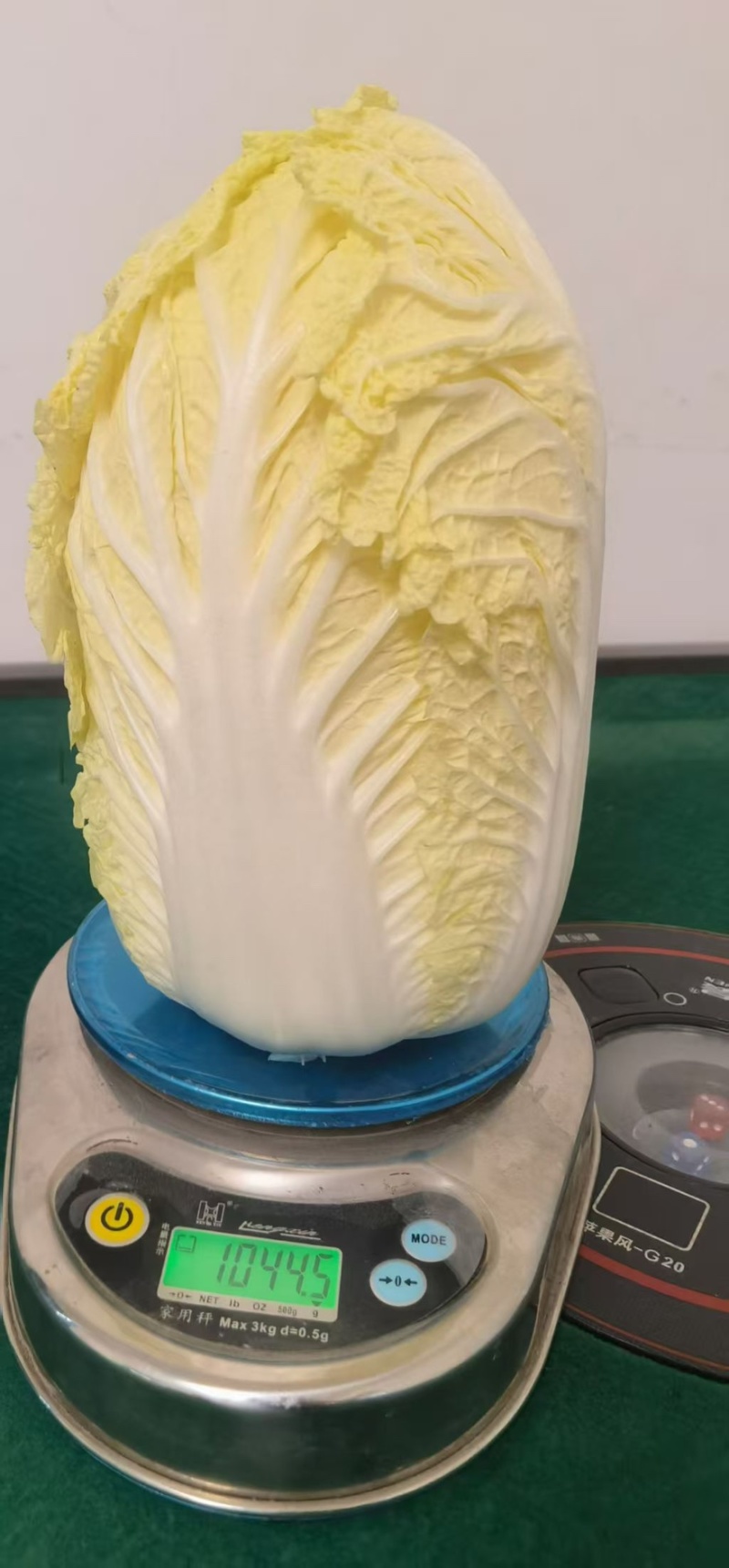 大娃娃菜湖北基地直发
