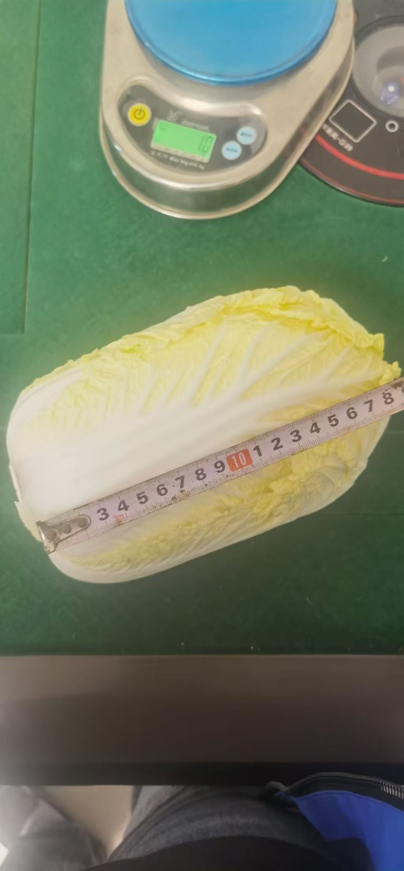大娃娃菜湖北基地直发