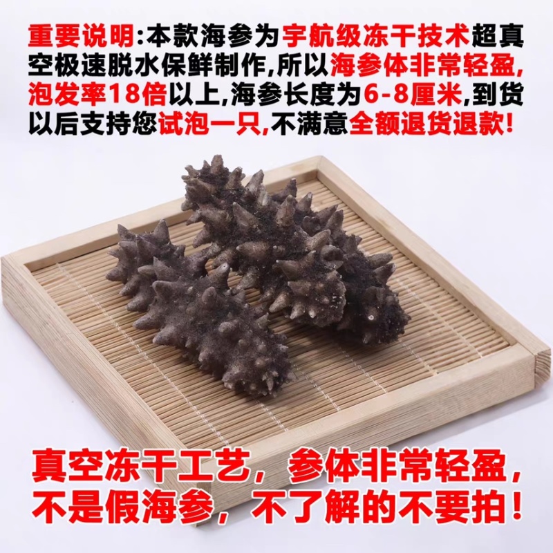 大连冷水速发海参工厂速发海参批发国标淡干海参