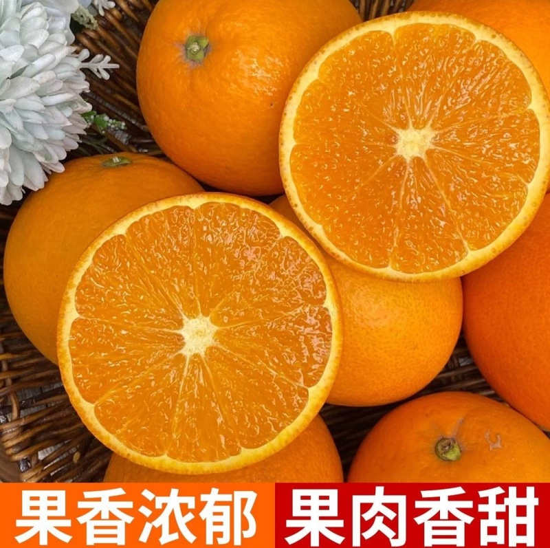 赣南脐橙，高山品种，专业对接线上线下各平台，工厂果市场果