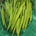 山东临沂长年供应贡菜，质量好价格实惠，欢迎合作