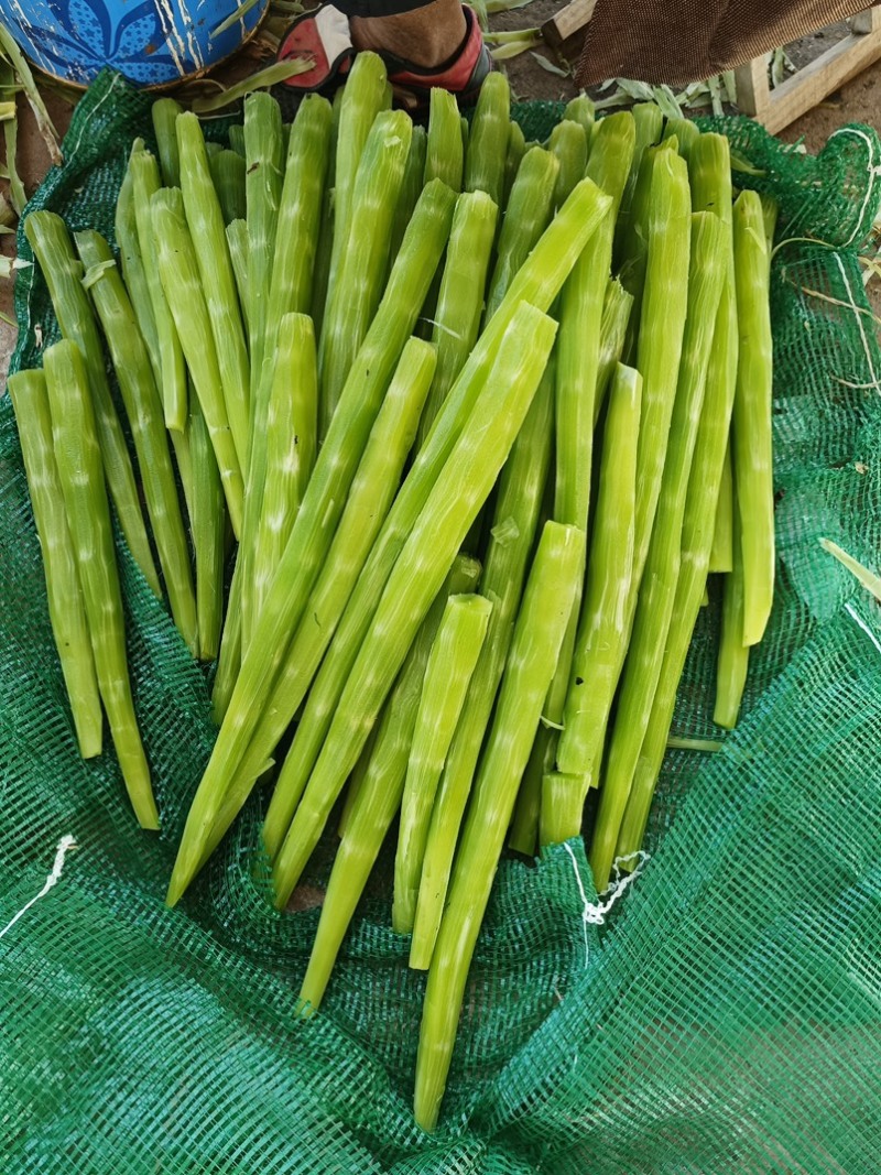 山东临沂长年供应贡菜，质量好价格实惠，欢迎合作