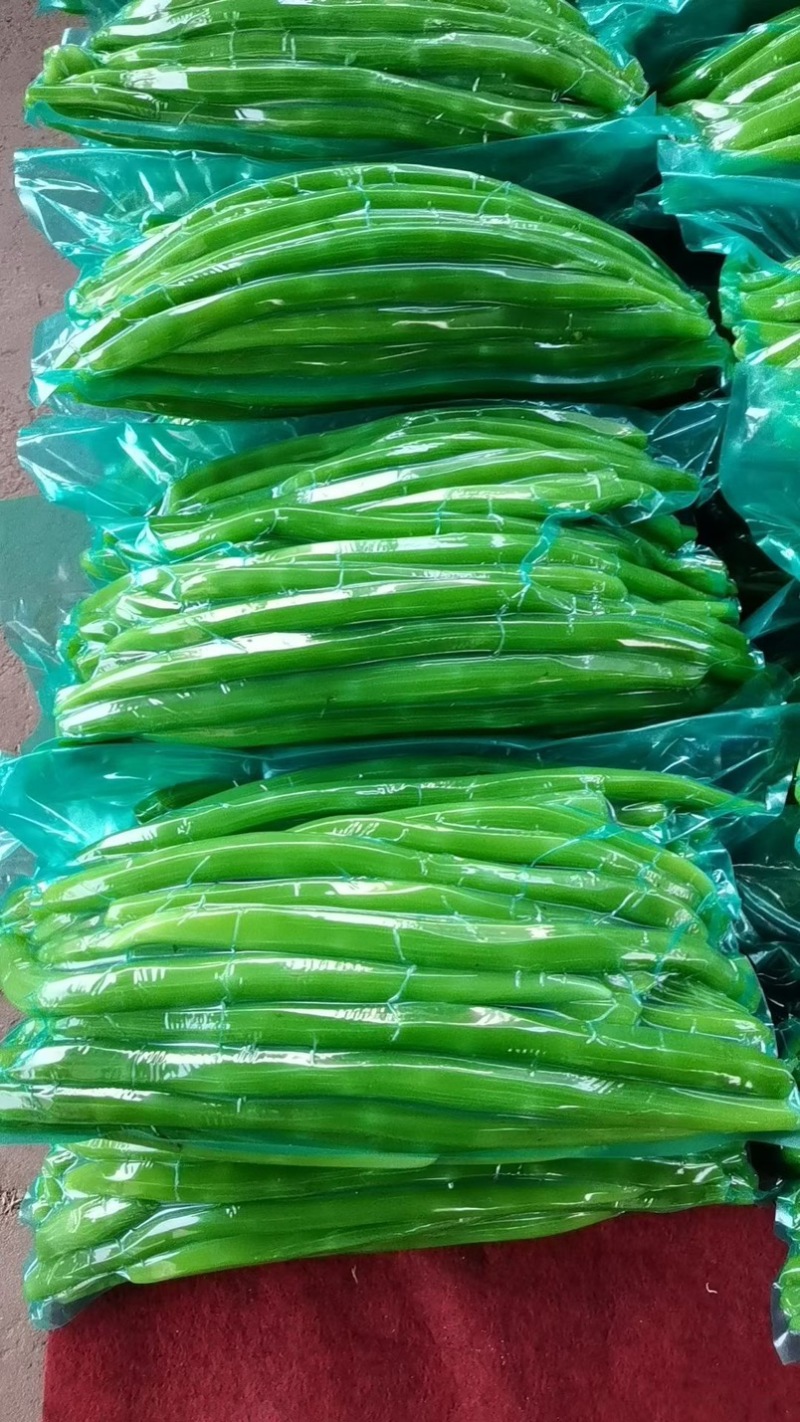 山东临沂长年供应贡菜，质量好价格实惠，欢迎合作