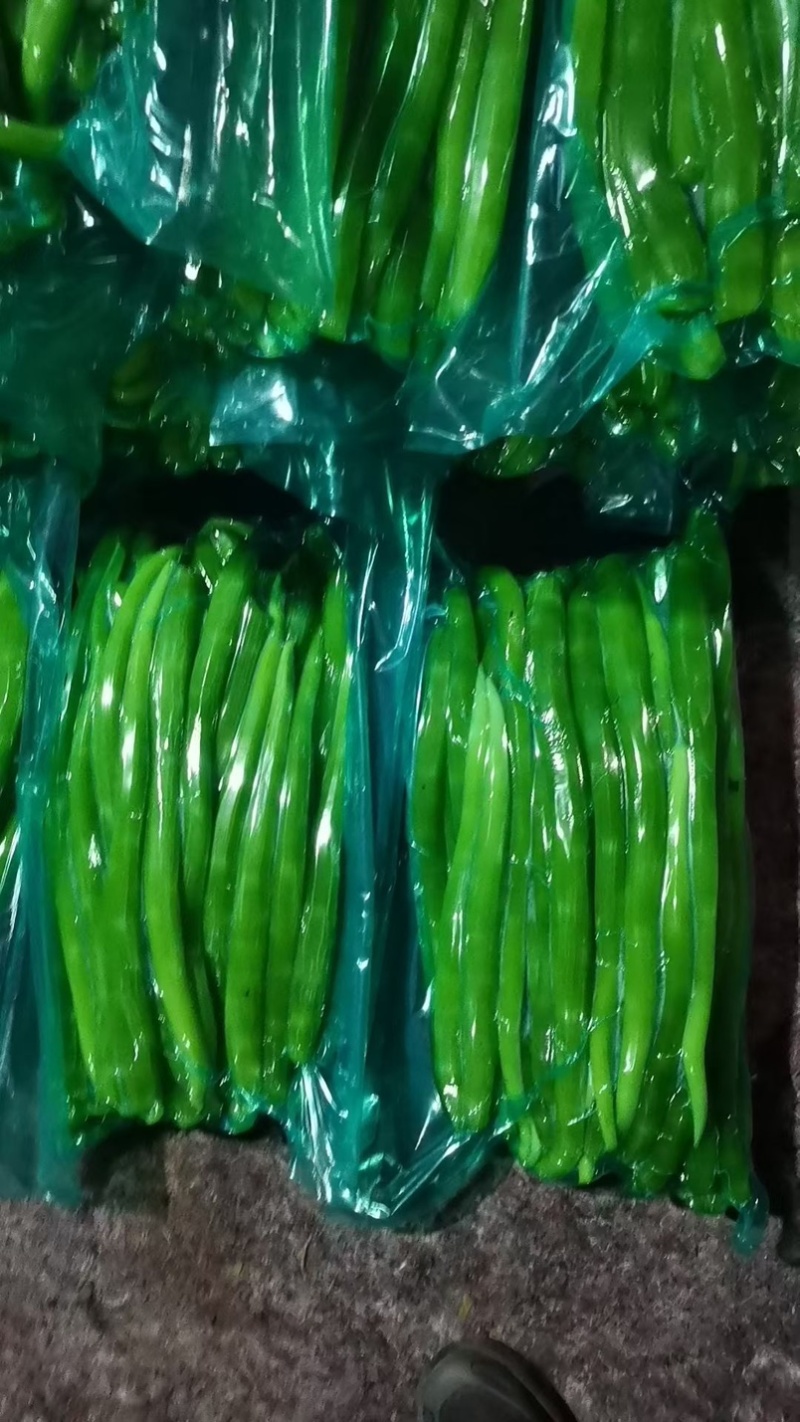 山东临沂长年供应贡菜，质量好价格实惠，欢迎合作