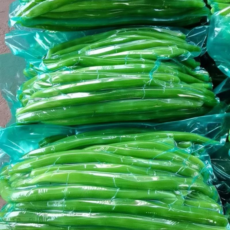 山东临沂长年供应贡菜，质量好价格实惠，欢迎合作