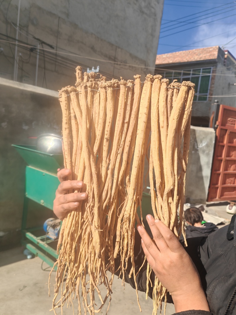精品党参无硫纯干，量大从优长期供应，产地定西岷县