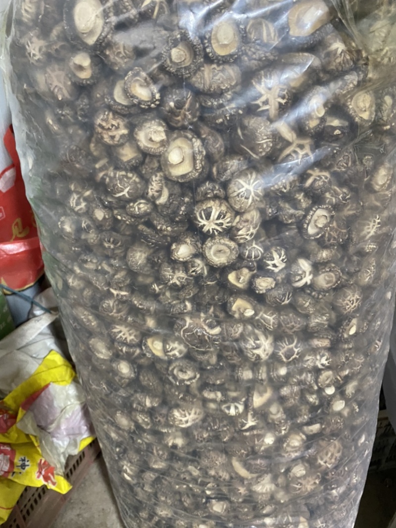 精选干花菇茶花菇红花菇大小型号齐全，