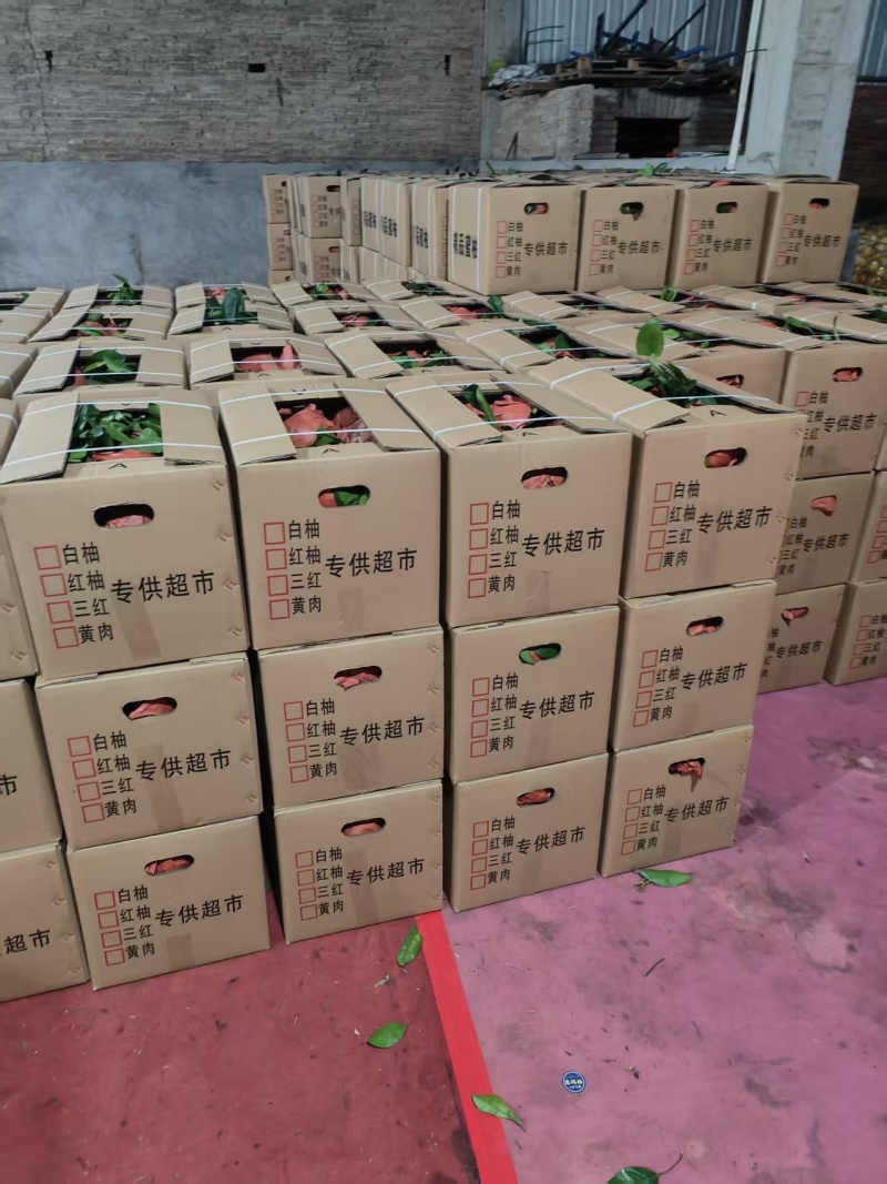 葡萄柚