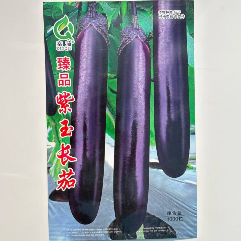 **紫玉长茄种子原装正品1000粒