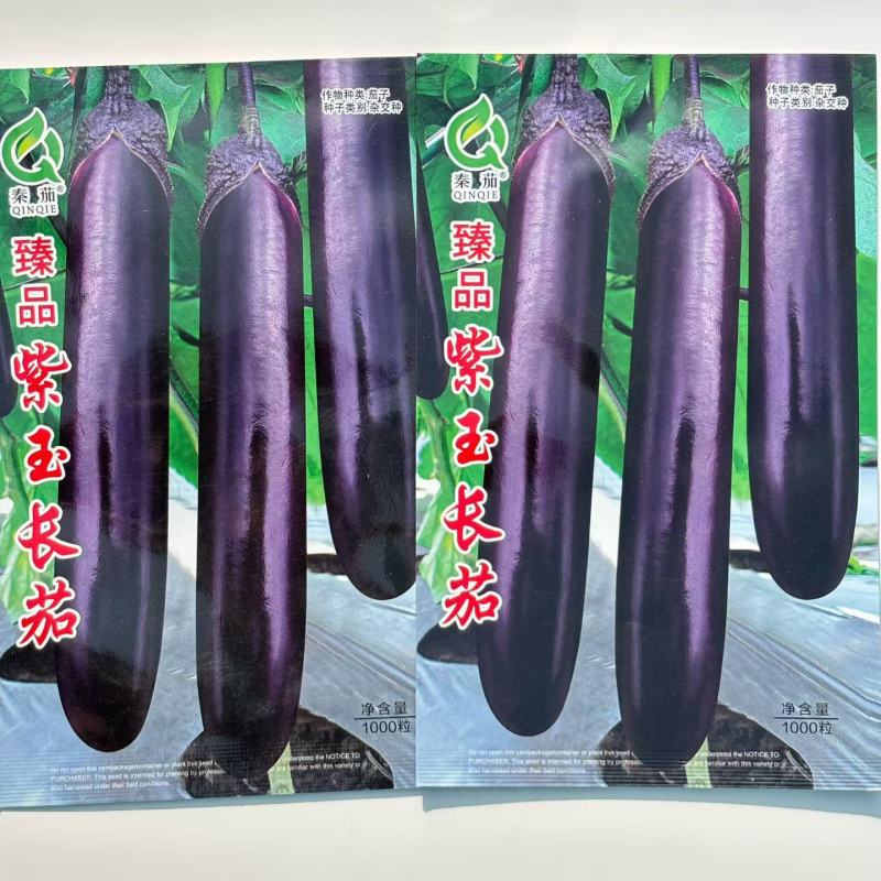 **紫玉长茄种子原装正品1000粒
