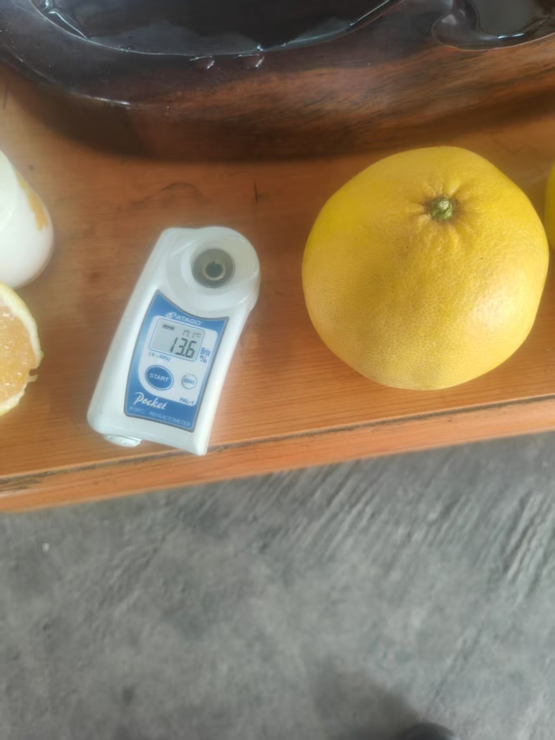 葡萄柚