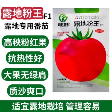 露地粉王西红柿种子高秧粉红果番茄种子抗热质沙大果番茄种子