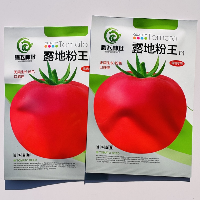 露地粉王西红柿种子高秧粉红果番茄种子抗热质沙大果番茄种子