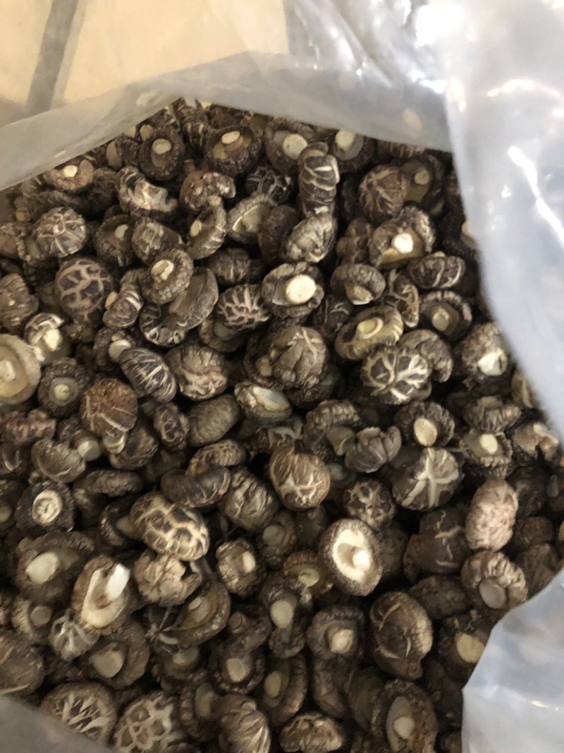 精选干香菇大小型号，产地发货，质美价优