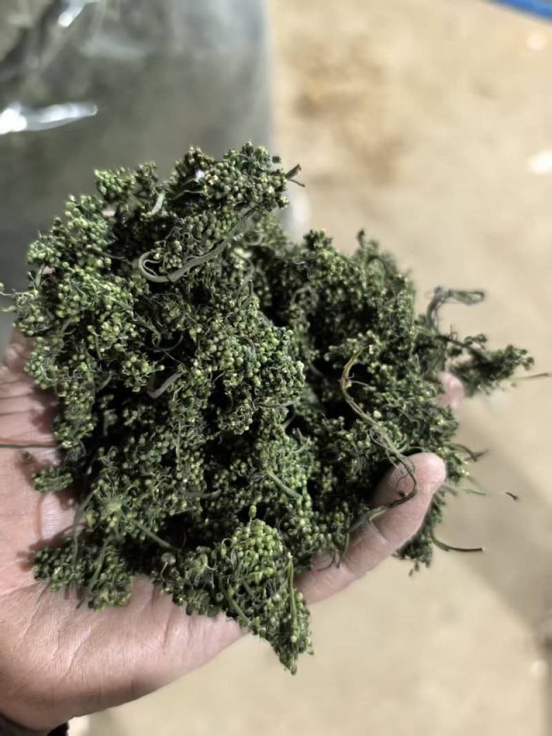 人参花茶