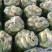 水果萝卜，产地直发，量大价优，保质保量，欢迎咨询